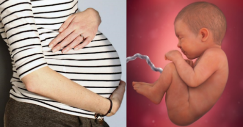 Tiếng ọc ọc trong bụng có liên quan đến sự phát triển của thai nhi không?
