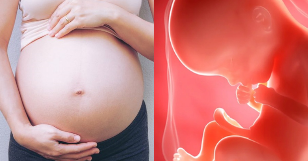 4 lý do bác sĩ luôn nhấn mạnh thai 28 tuần là thời điểm quan ...