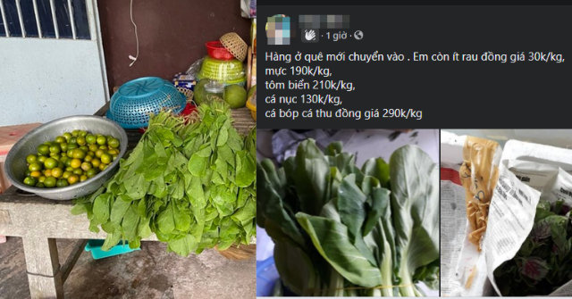 Tranh thủ lúc nhiều người cần, gom rau quê lên TP.HCM bán: Mới 2 ngày lời chục triệu - Vimarsana News
